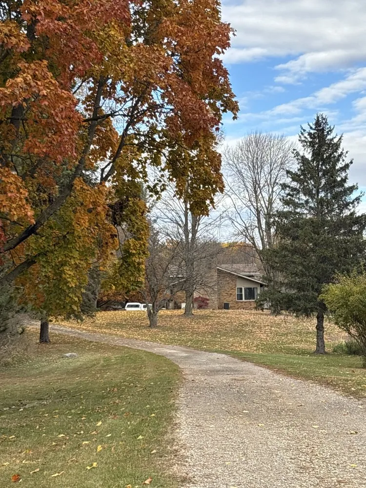 Affordable landscape design for outdoor upgrades in Eaton Rapids, MI by Down to Earth Lawn Care