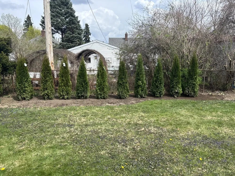 Reliable yard maintenance with custom design across Eaton Rapids, MI - Down to Earth Lawn Care