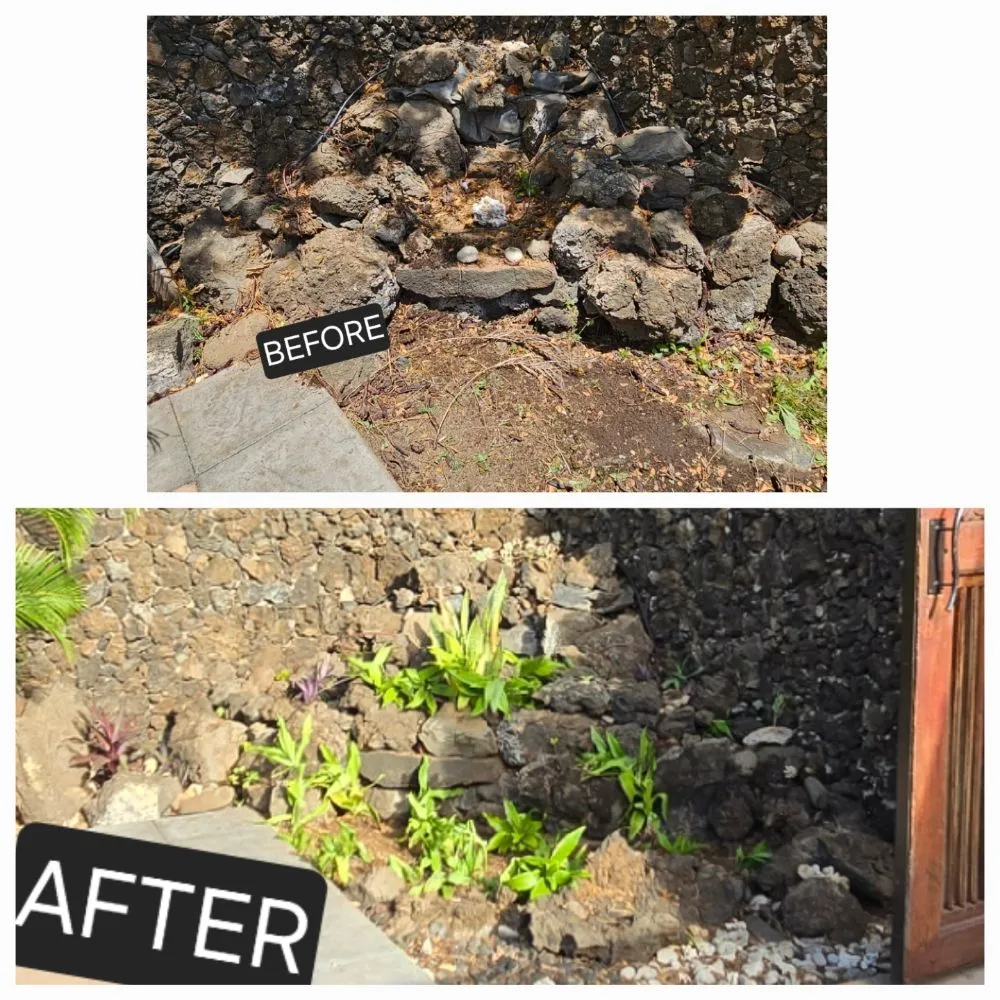 Local garden landscaping in Kihei, HI by Down-to-Earth Lawn Care