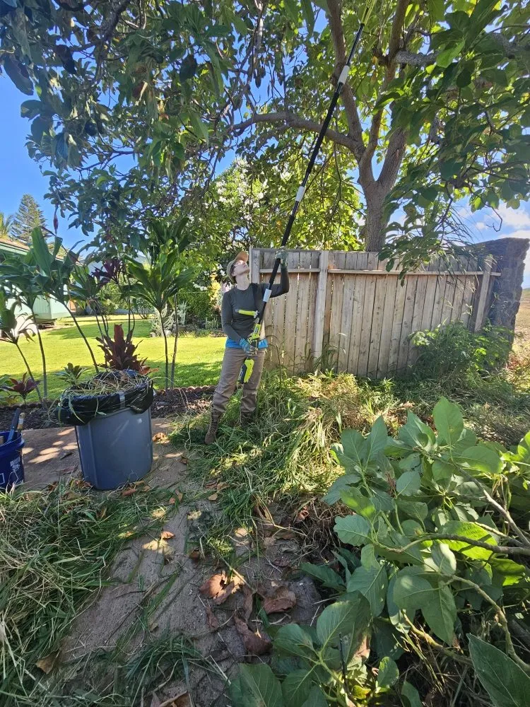 Local outdoor landscaping in Kihei, HI by Down-to-Earth Lawn Care