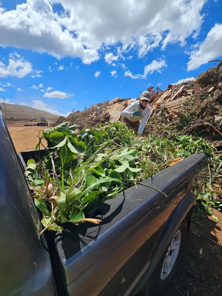 Reliable lawn mowing service in Kihei, HI by Down-to-Earth Lawn Care