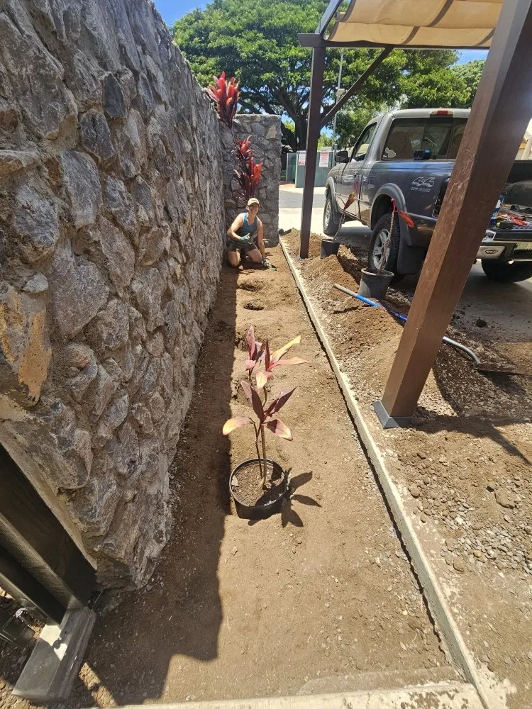 Affordable yard maintenance in Kihei, HI by Down-to-Earth Lawn Care