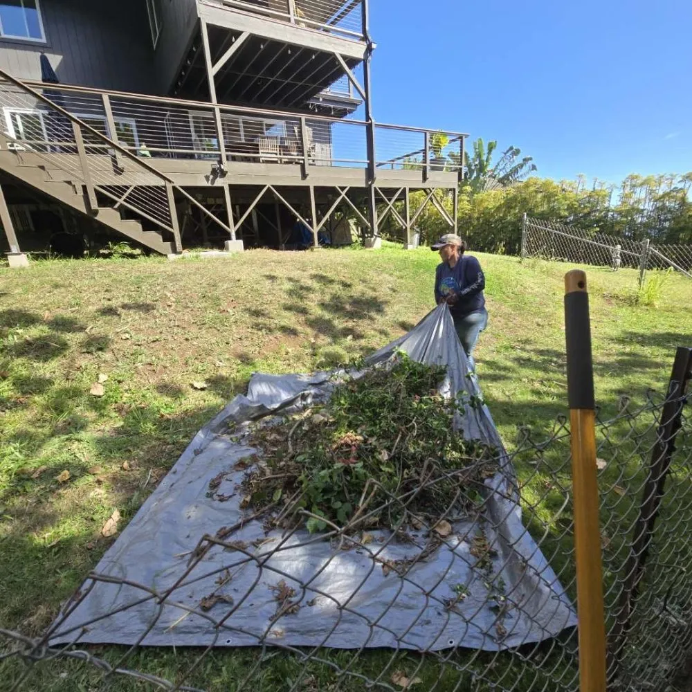 Expert outdoor landscaping for year-round maintenance in Kihei, HI by Down-to-Earth Lawn Care