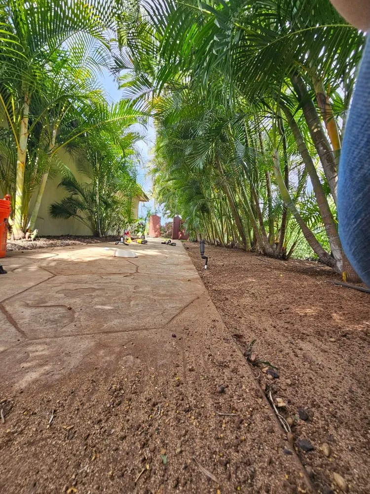 Local lawn care service in Kihei, HI by Down-to-Earth Lawn Care