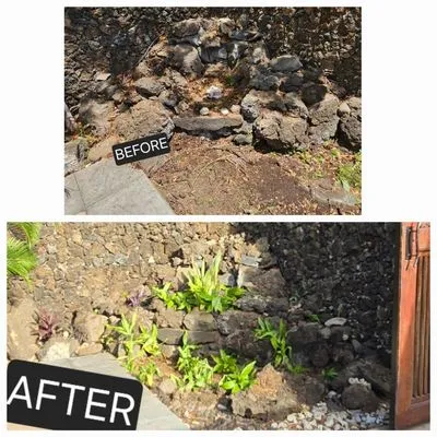 Down-to-Earth Lawn Care Logo