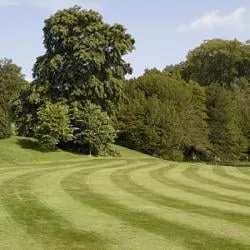 Local residential landscaping in Greenville, SC by Down to Earth of the Upstate