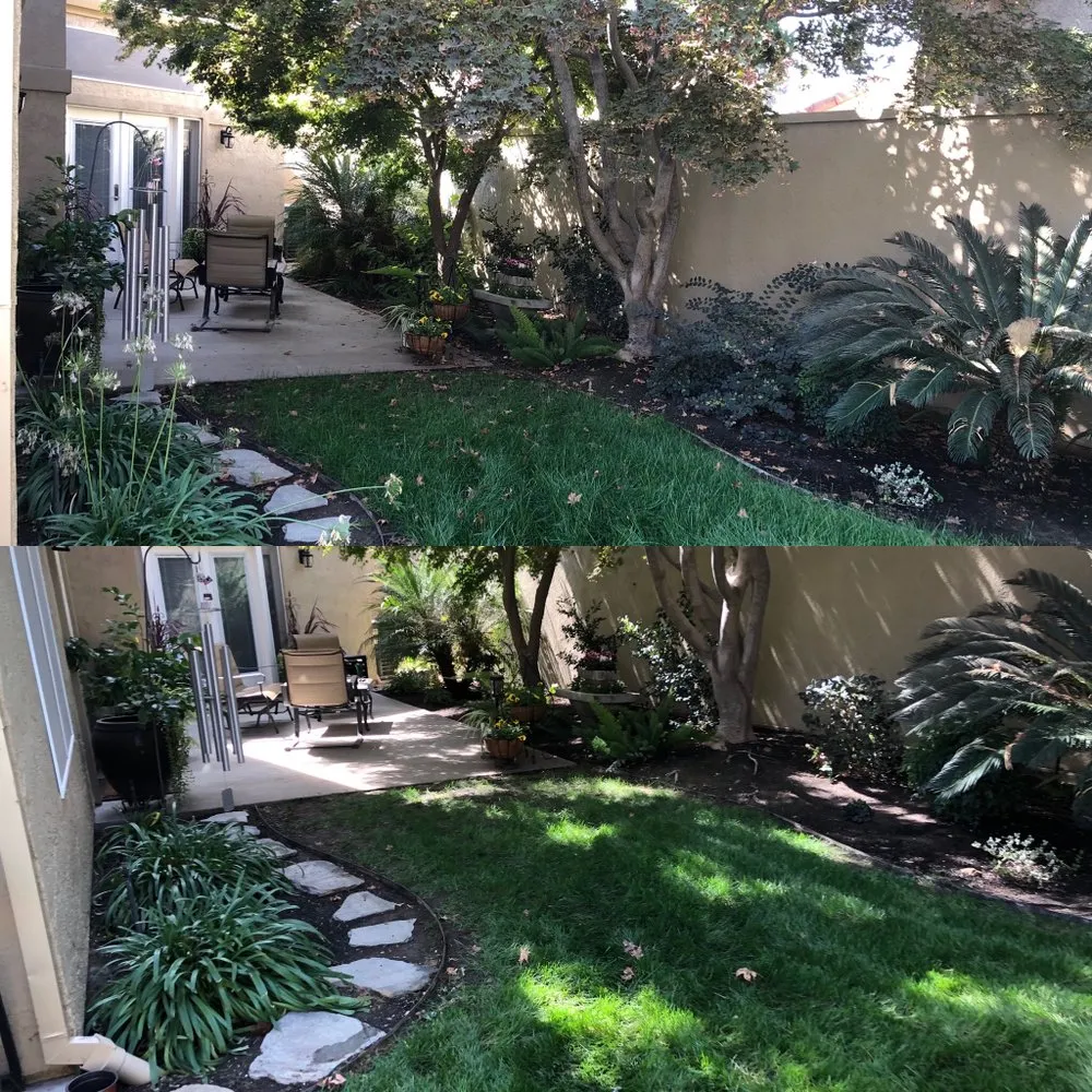 Expert residential landscaping in Modesto, CA by Down To Earth Outdoor Aesthetics