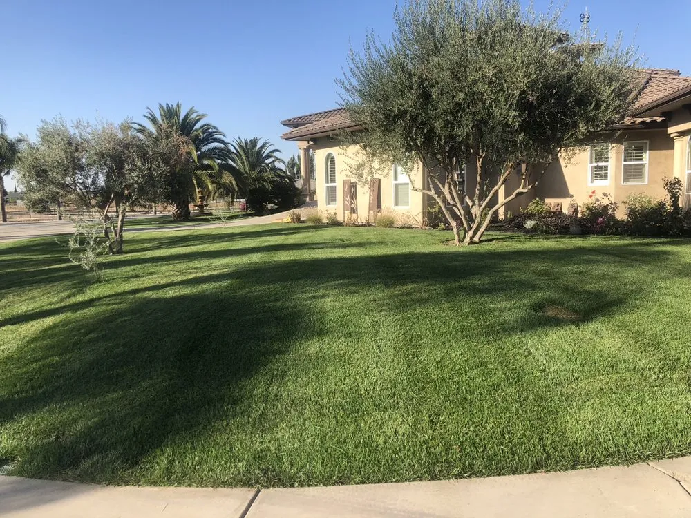 Custom garden landscaping for homes across Modesto, CA - Down To Earth Outdoor Aesthetics