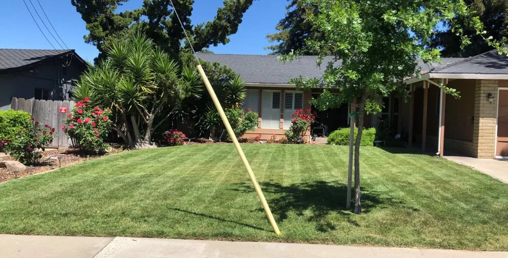 Trusted landscape design in Modesto, CA - Down To Earth Outdoor Aesthetics