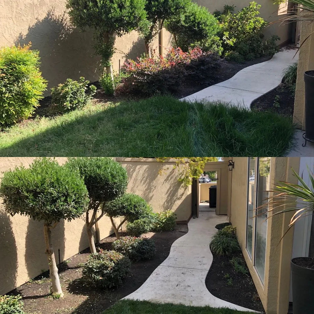 Affordable landscape design in Modesto, CA by Down To Earth Outdoor Aesthetics