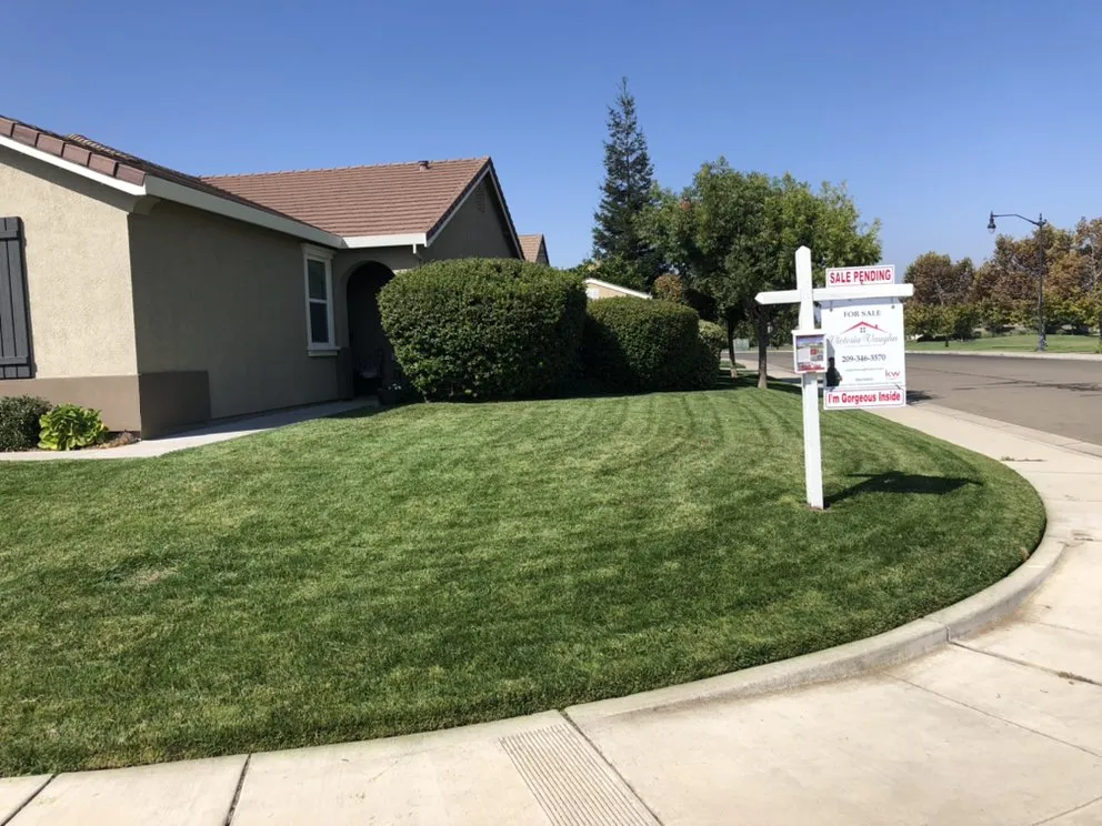 Top-rated yard maintenance experts serving Modesto, CA - Down To Earth Outdoor Aesthetics