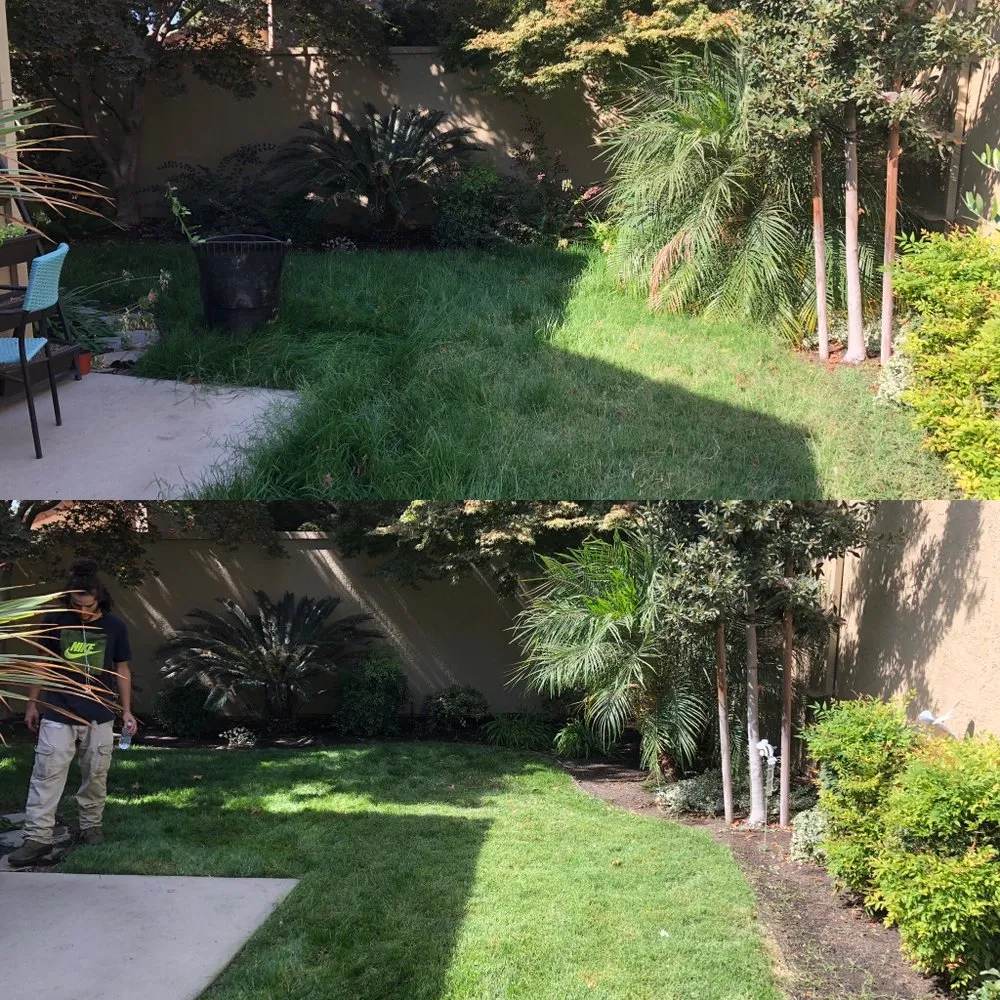 Local yard maintenance in Modesto, CA by Down To Earth Outdoor Aesthetics