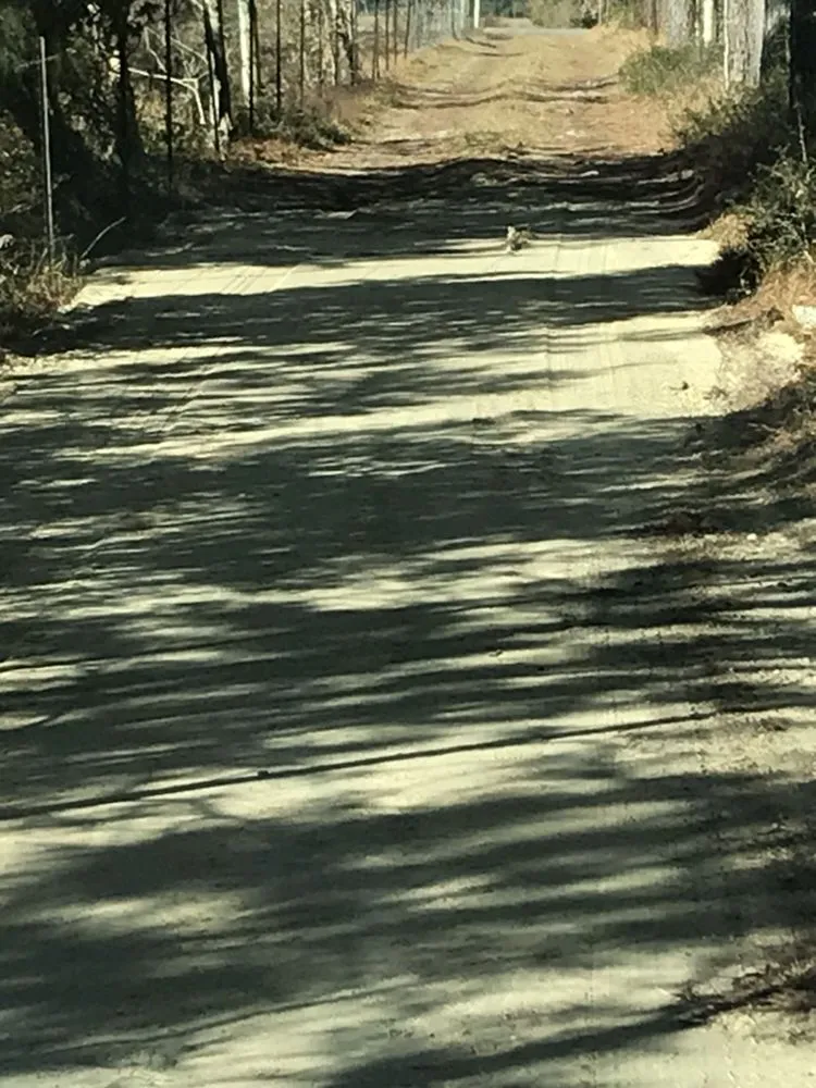 Affordable yard maintenance for outdoor upgrades in Robertsdale, AL by Down to earth outdoor services