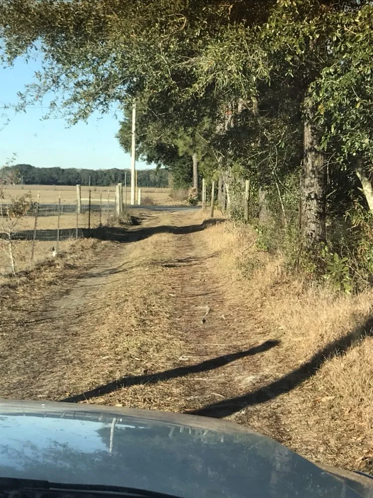 Local outdoor landscaping in Robertsdale, AL by Down to earth outdoor services