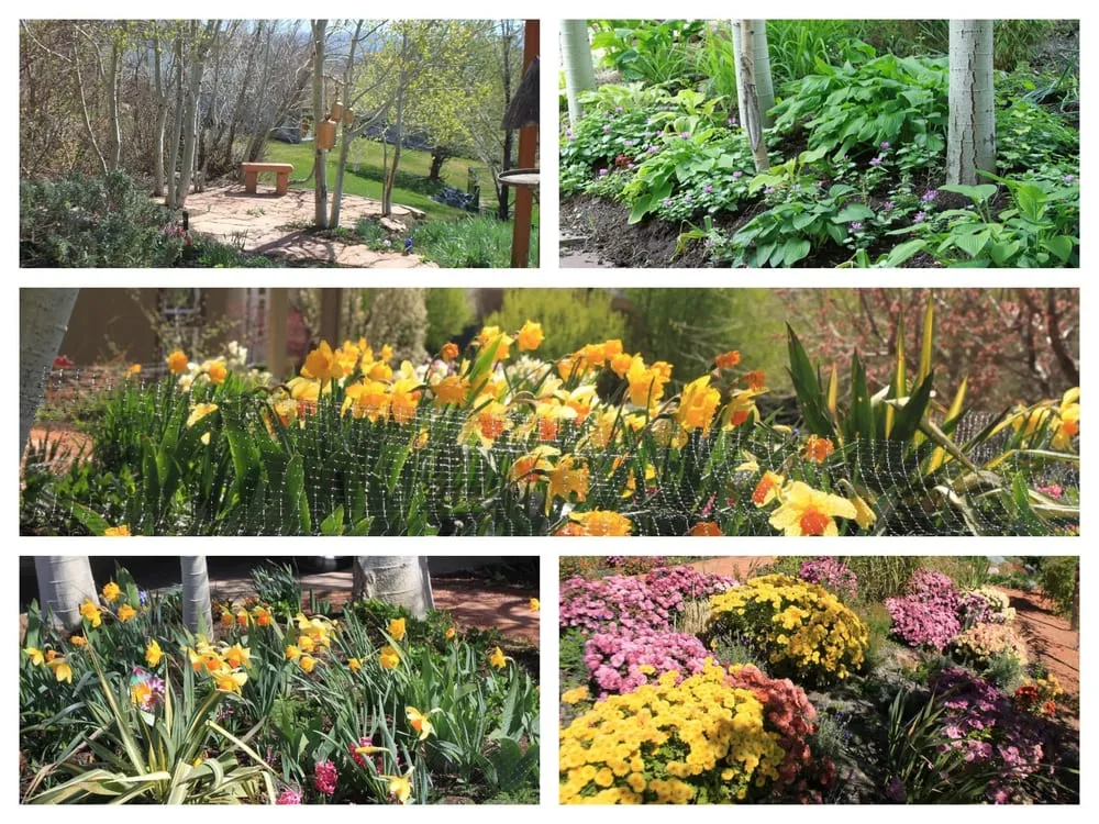 Expert lawn care service in Salt Lake City, UT by Down To Earth