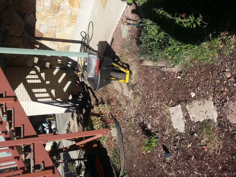 Reliable lawn care service in Salt Lake City, UT by Down To Earth