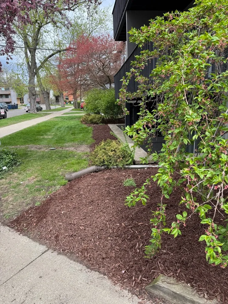 Trusted lawn mowing service in Clinton, MI by Down To Earth Services