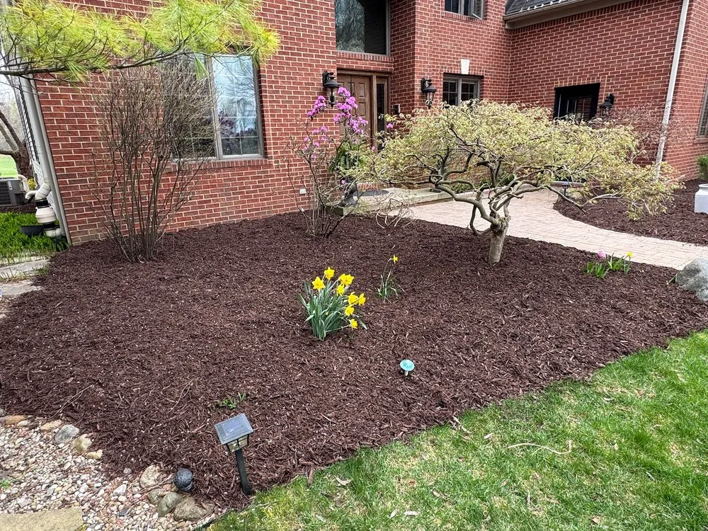 Top-rated residential landscaping near you across Clinton, MI - Down To Earth Services