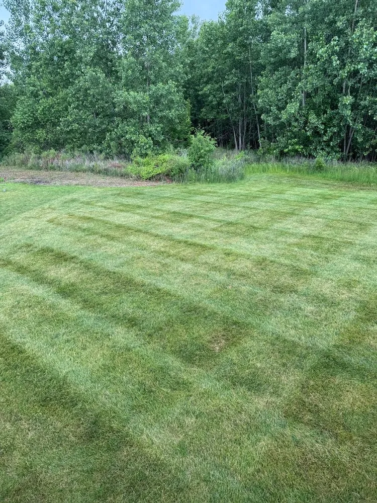 Expert landscape design experts serving Clinton, MI - Down To Earth Services