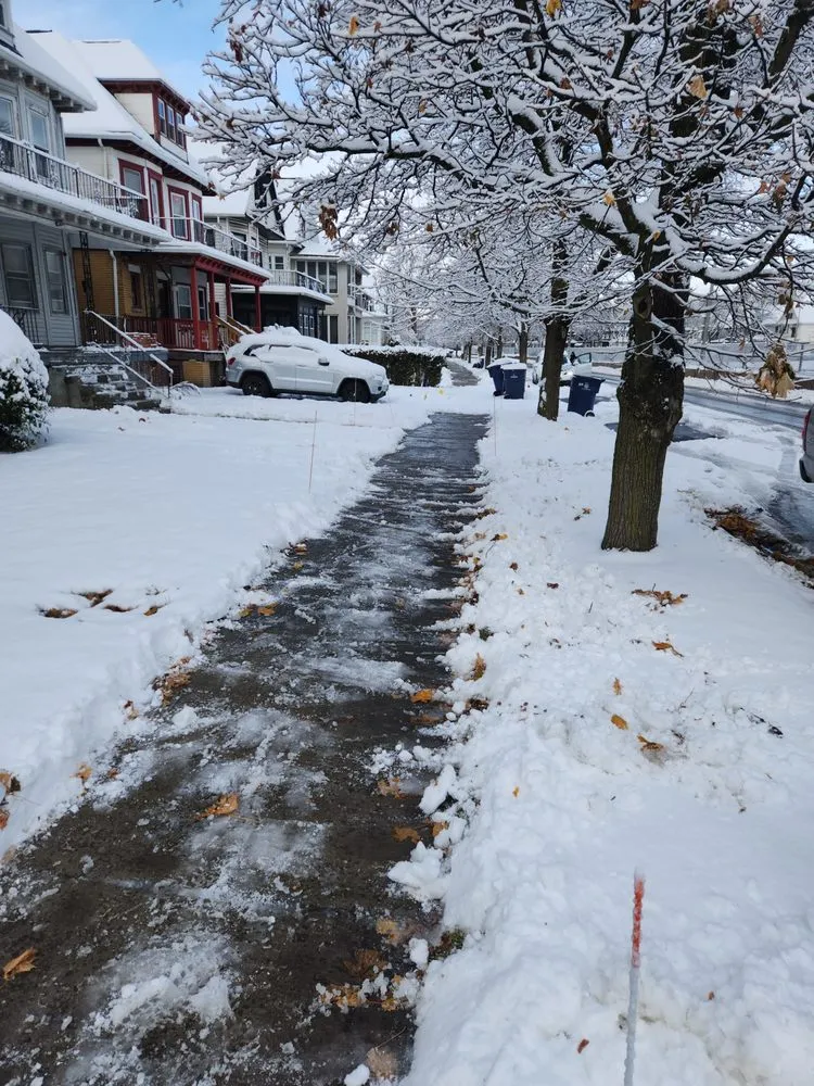 Trusted yard cleanup service near you across Buffalo, NY - Down To Earth snow removal & Landscaping