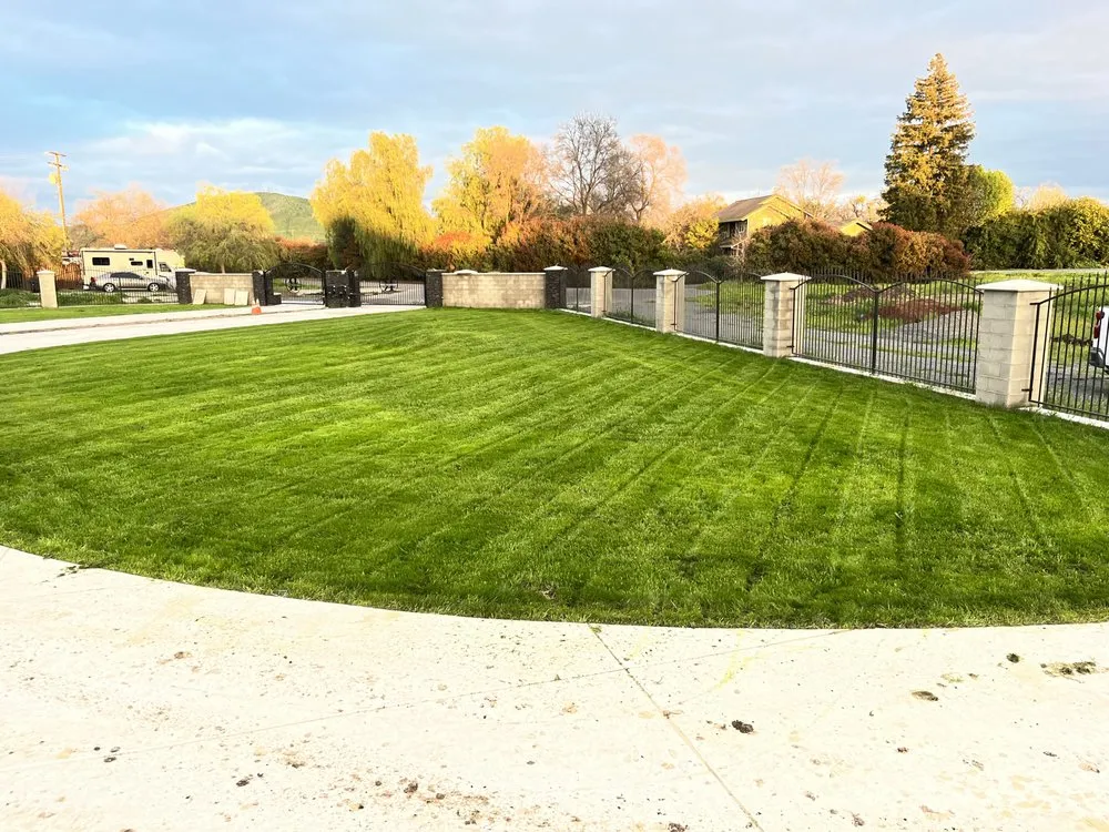 Affordable yard maintenance for year-round maintenance across Springville, CA - Down to Earth