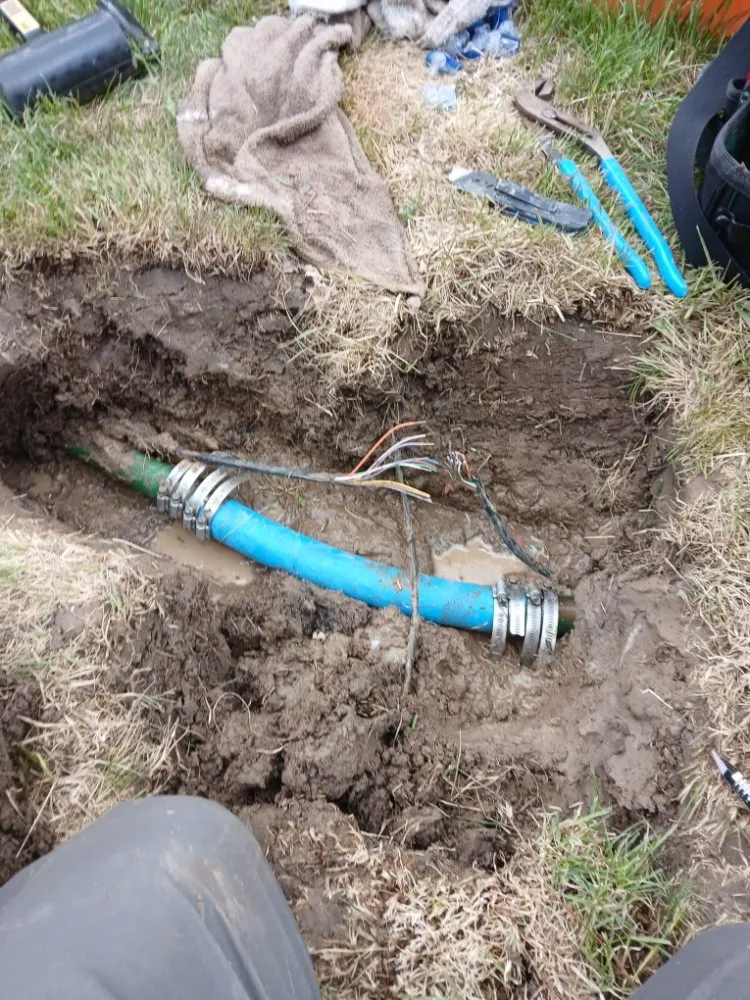 Top-rated yard maintenance for homes across Moorcroft, WY - Down To Earth Sprinklers