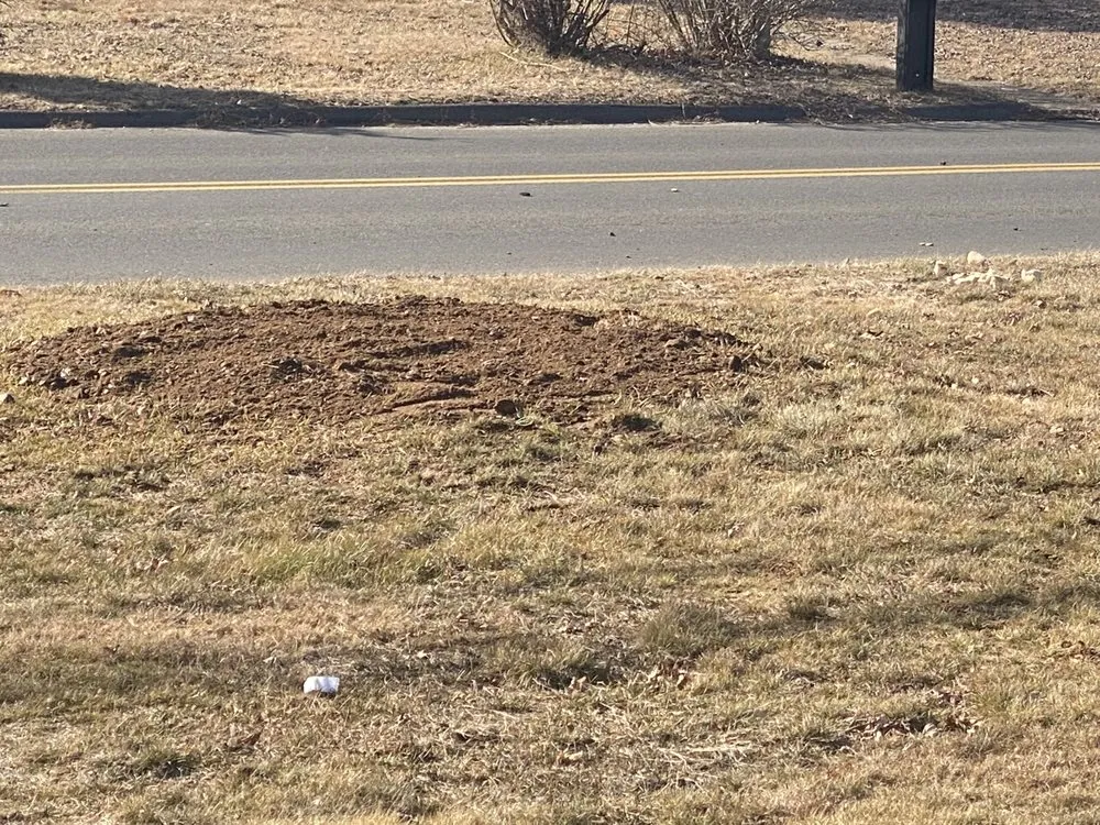 Local outdoor landscaping with custom design in Enfield, CT by Down To Earth Stump Grinding