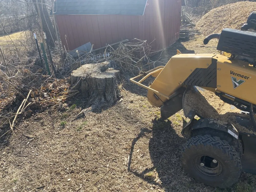 Reliable landscape installation in Enfield, CT - Down To Earth Stump Grinding