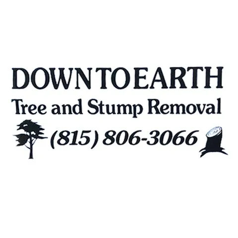 Custom outdoor landscaping for homes across Frankfort, IL - Down To Earth Tree & Stump Removal