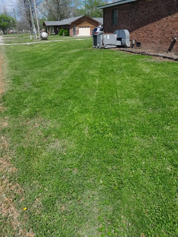 Affordable landscaping services experts serving Sikeston, MO - Down To Earth lawn service & landscaping