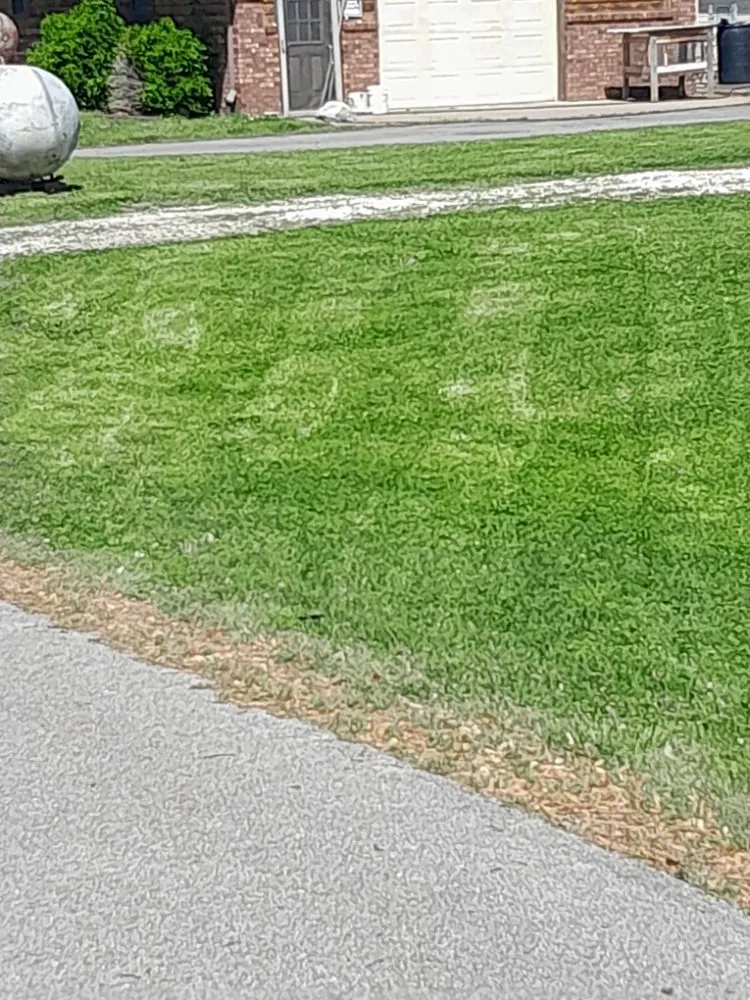 Professional residential landscaping in Sikeston, MO - Down To Earth lawn service & landscaping