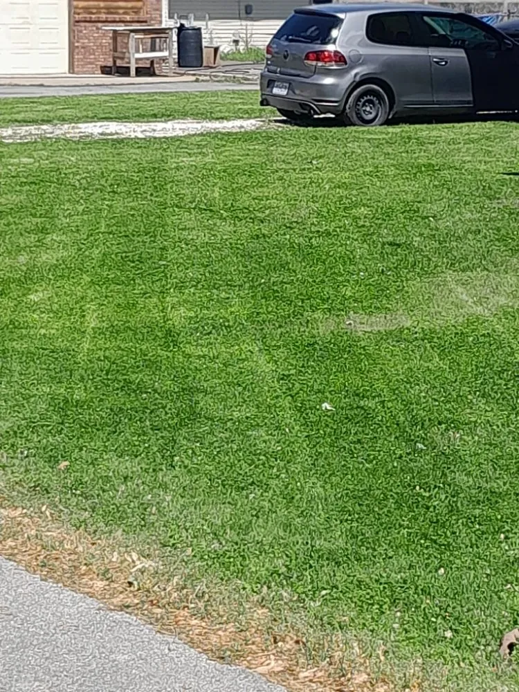 Top-rated yard cleanup service in Sikeston, MO - Down To Earth lawn service & landscaping