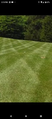 Down To Earth lawn service & landscaping