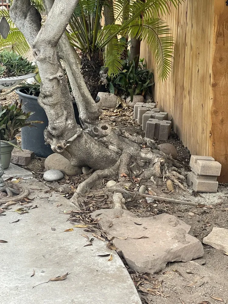 Professional residential landscaping for outdoor upgrades across San Diego, CA - Down Under Services