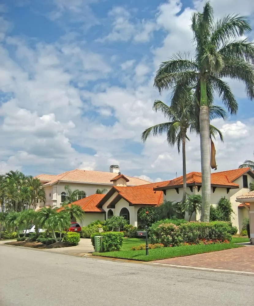 Local yard cleanup service in San Diego, CA by Down Under Services