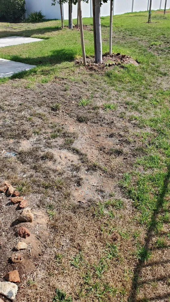 Expert yard maintenance in San Diego, CA - Down Under Services