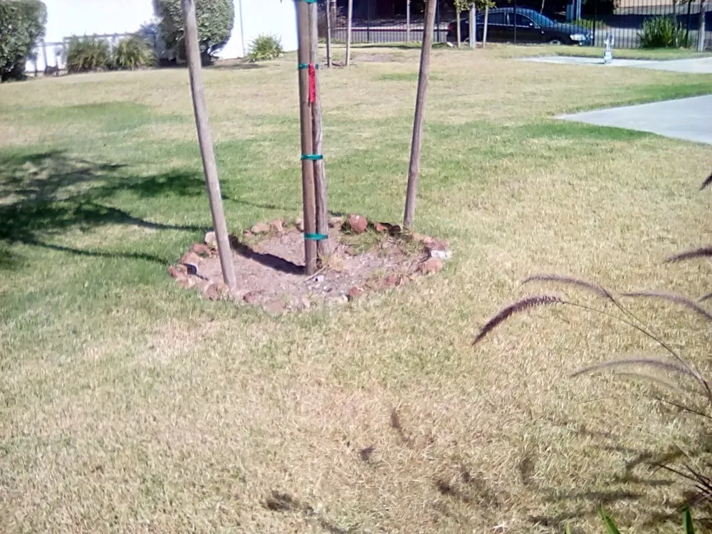 Trusted lawn mowing service with custom design in San Diego, CA by Down Under Services