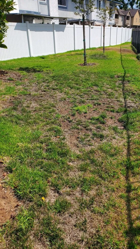 Top-rated garden landscaping experts serving San Diego, CA - Down Under Services