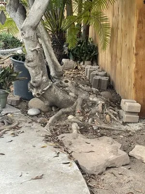 Down Under Services Logo