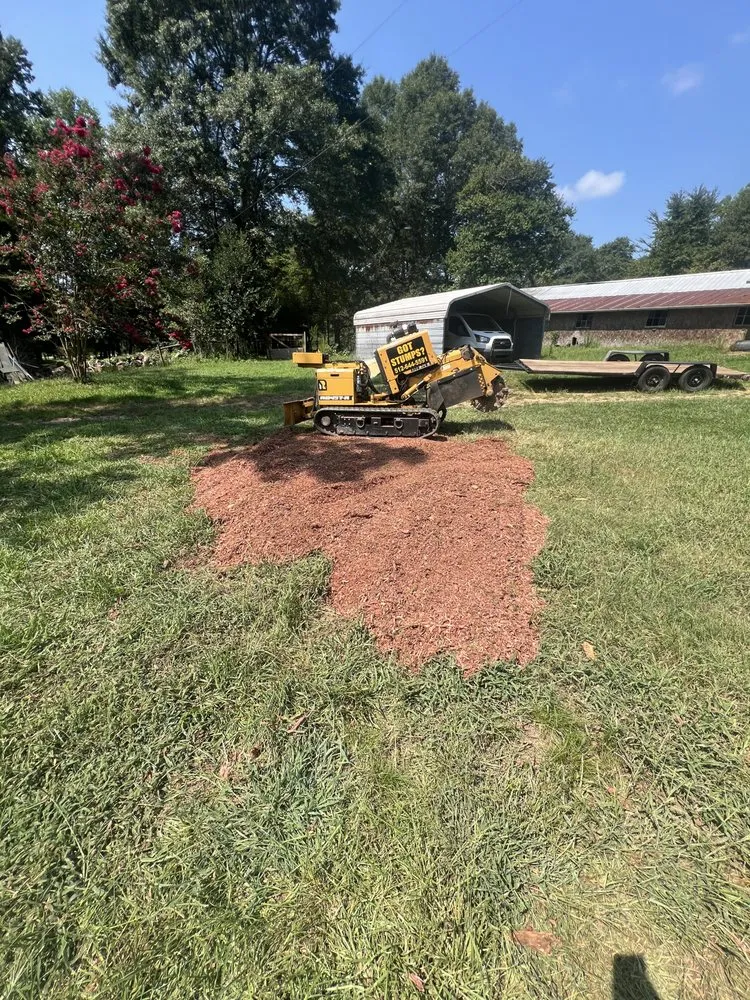 Affordable landscape design for year-round maintenance across Winder, GA - Down2Dirt Stump Grinding