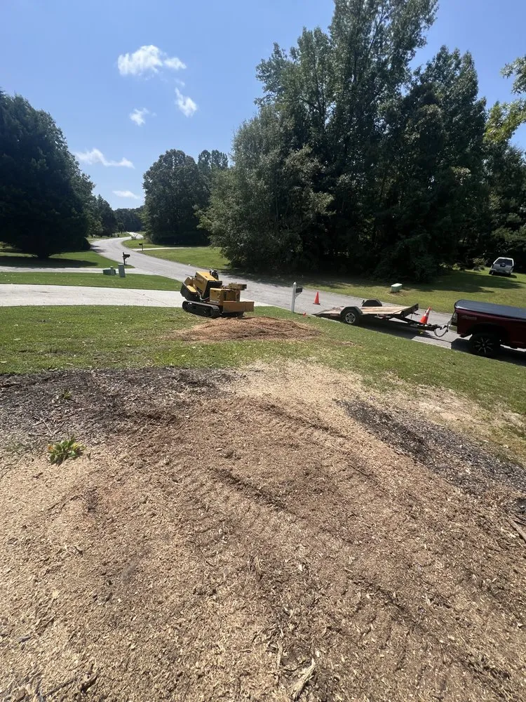 Trusted yard cleanup service in Winder, GA - Down2Dirt Stump Grinding