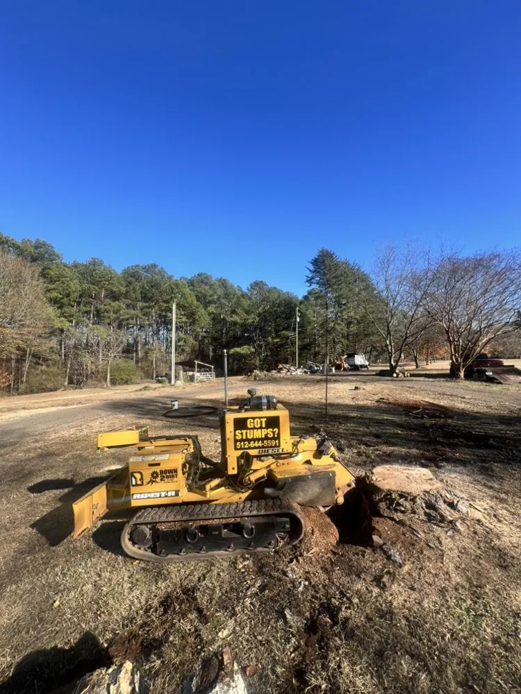 Professional lawn care service in Winder, GA by Down2Dirt Stump Grinding