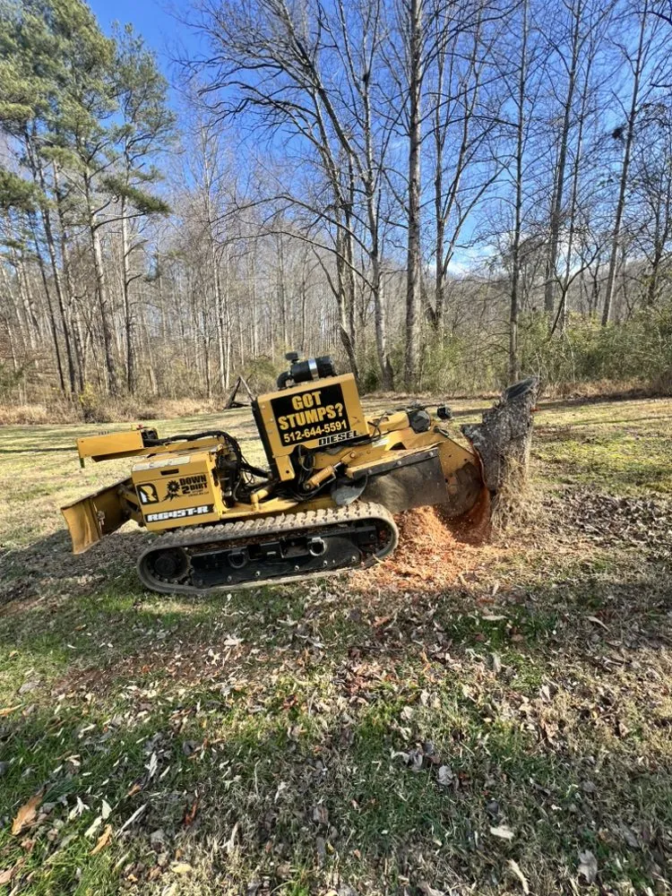 Professional landscape design experts serving Winder, GA - Down2Dirt Stump Grinding