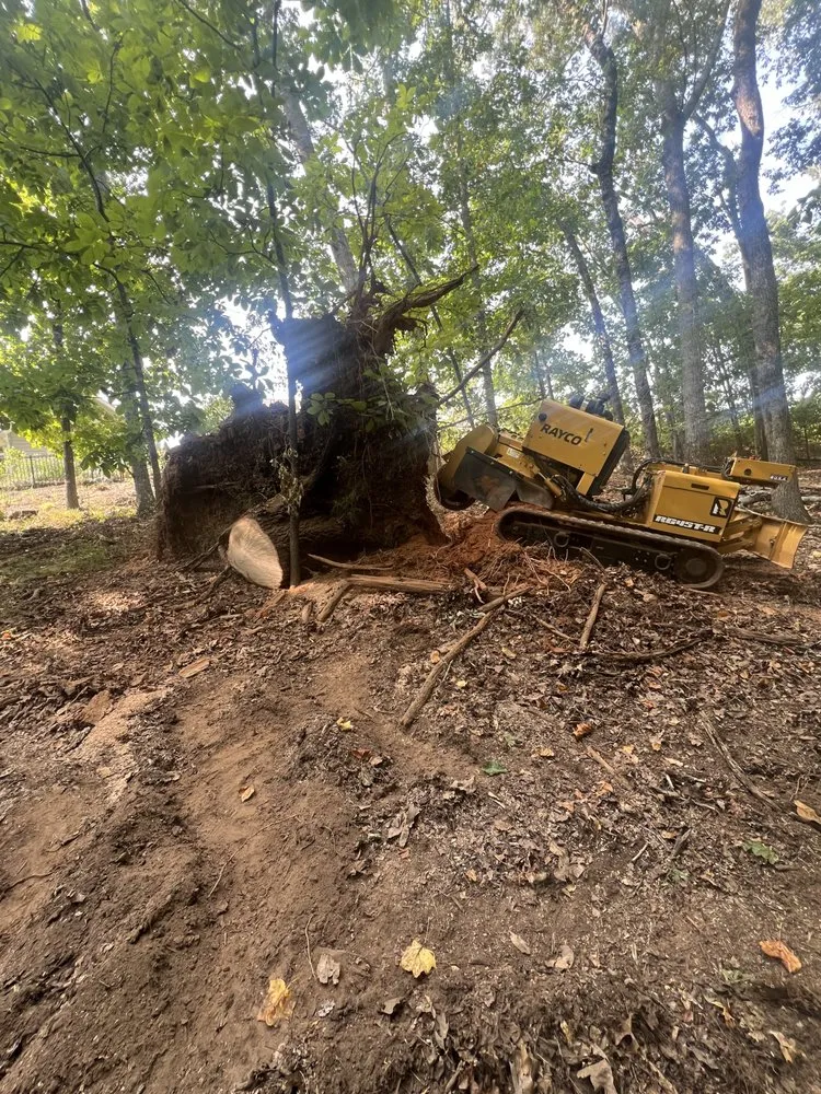 Affordable landscape installation in Winder, GA by Down2Dirt Stump Grinding