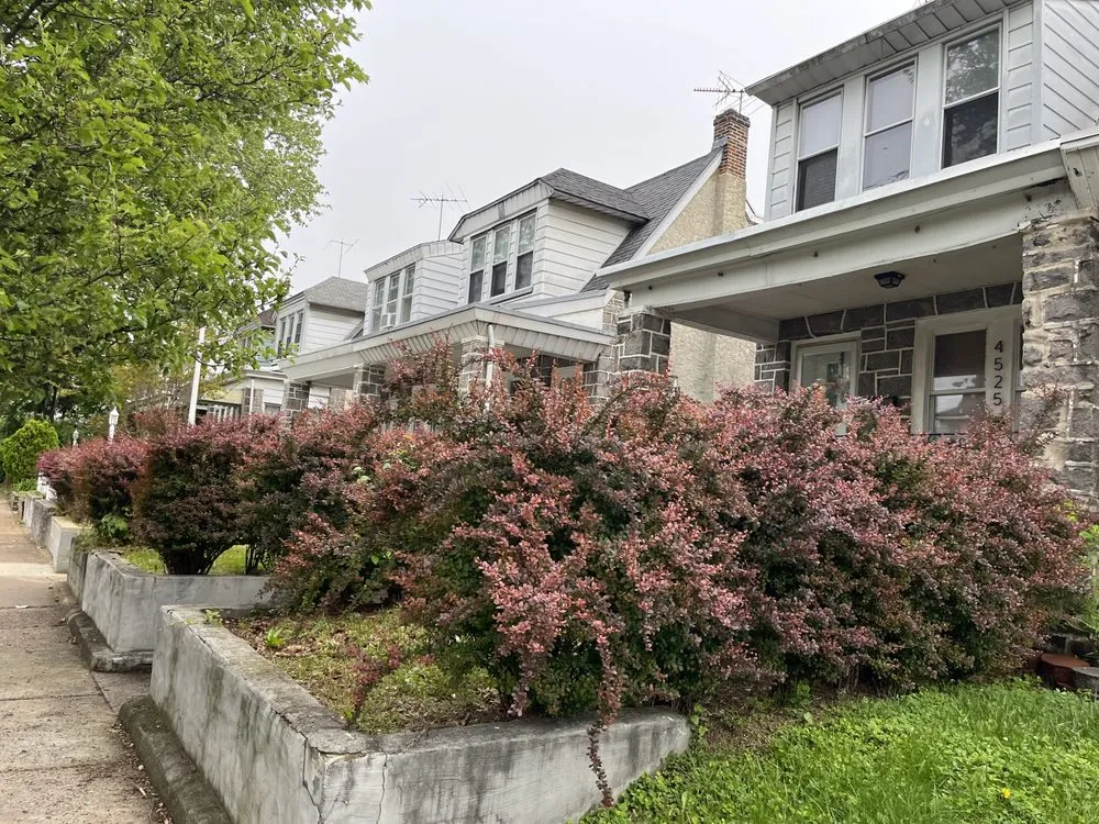 Affordable yard cleanup service for beautiful yards across Marcus Hook, PA - Down2Earth Lawn Care