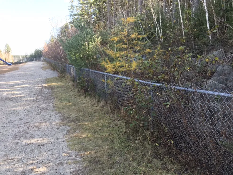 Reliable lawn care service near you across Steuben, ME - Downeast Tractor Service