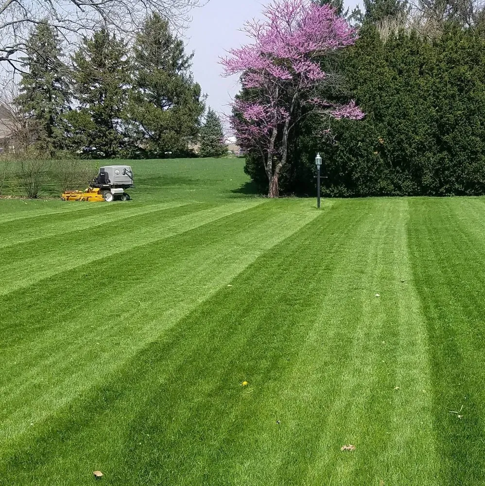 Reliable landscape installation experts serving Thomasboro, IL - Downings Lawn Care & Snow Removal
