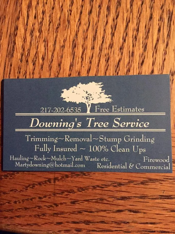 Trusted yard maintenance for beautiful yards in Mansfield, IL by Downing's Tree Service