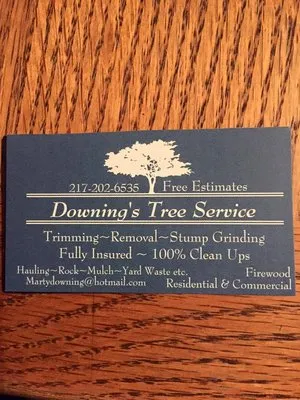 Downing's Tree Service Logo