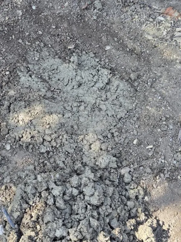 Trusted garden landscaping in Allen Park, MI by Downriver Seasonal Services